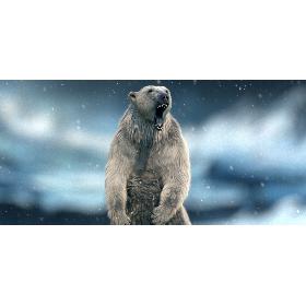 Polar bear RIGGED FUR model